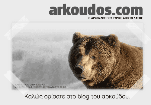    blog   -          blog...